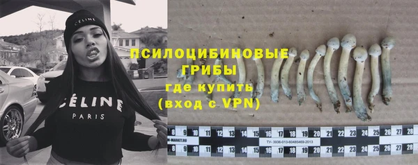 apvp Вязьма