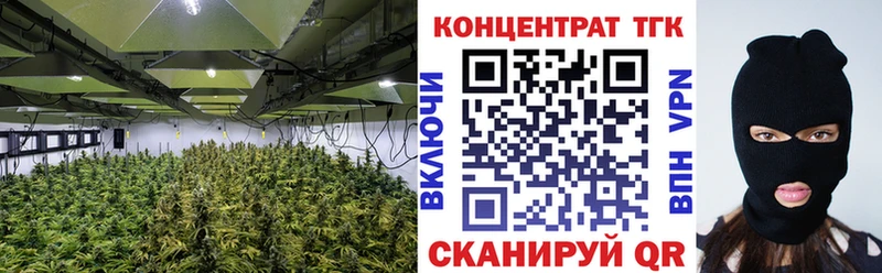 ТГК гашишное масло Архангельск